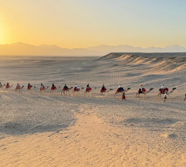 hurghada camel riding