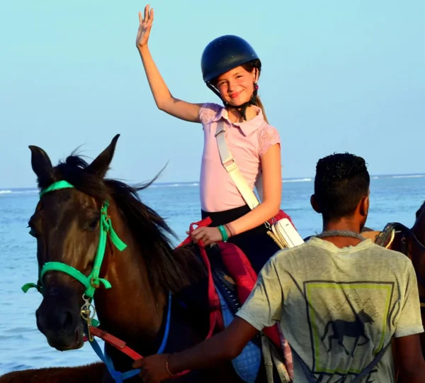 Marsa Alam: Sea and Desert Horse Riding Tour
