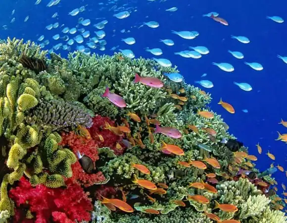 Hamata Islands – The Hidden Paradise of Marsa Alam