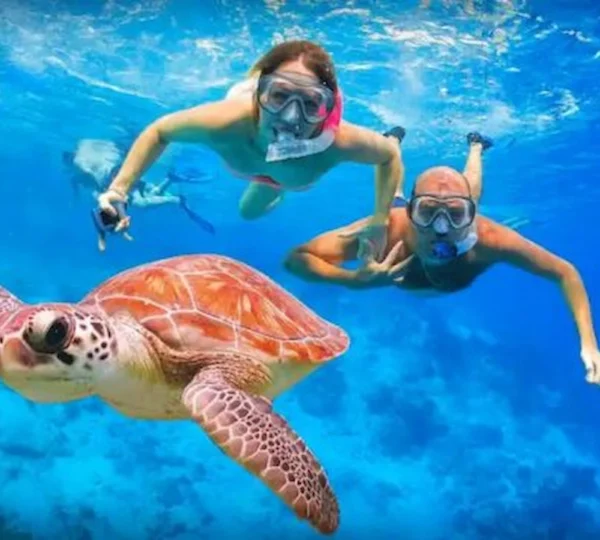 Abu Dabbab Beach Marsa Alam & Diving Abu Dabbab Bay