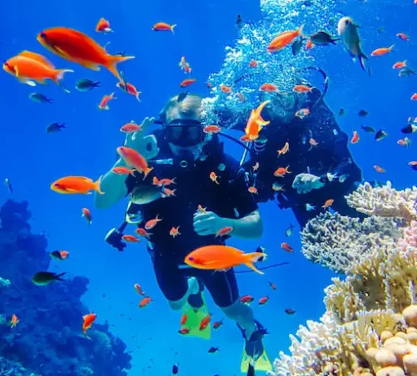 Hamata Islands - Hamata Snorkeling Tour