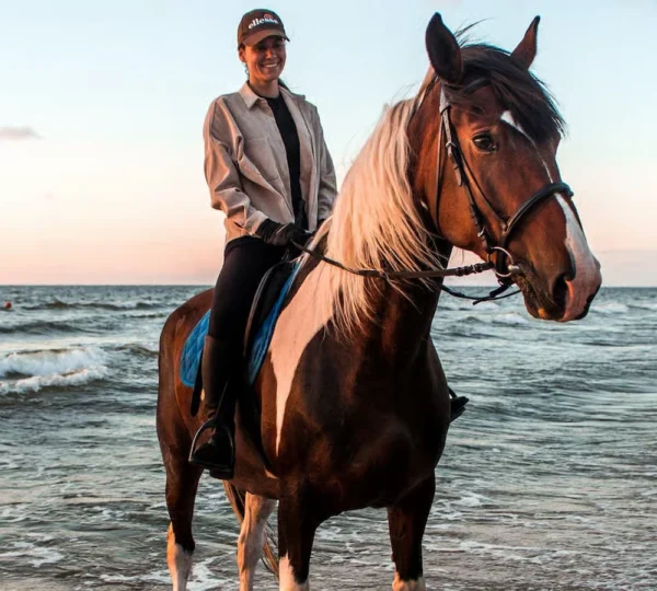 Horse Riding Marsa Alam