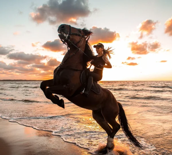 Horse Riding Marsa Alam