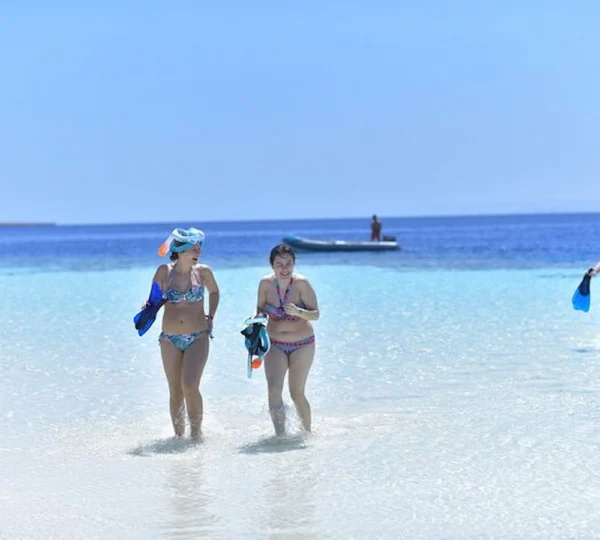 Marsa Mubarak Schnorcheln - Turtle House