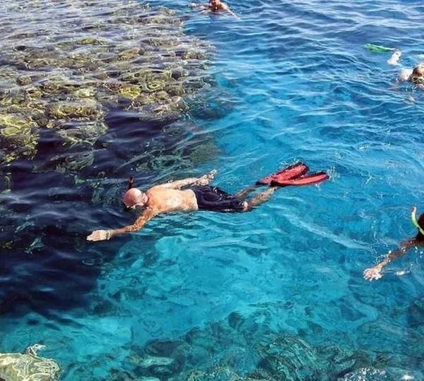 Marsa Mubarak Schnorcheln - Turtle House