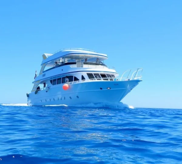 Private Boat Trip Hurghada tours get your tours egypt 10