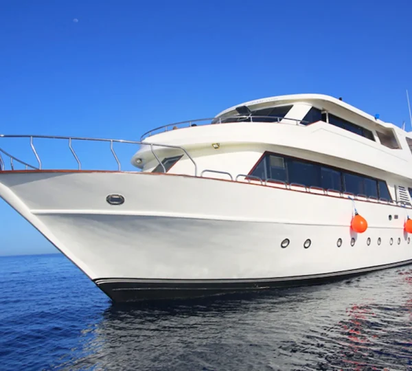 Private Boat Trip Hurghada tours get your tours egypt 3