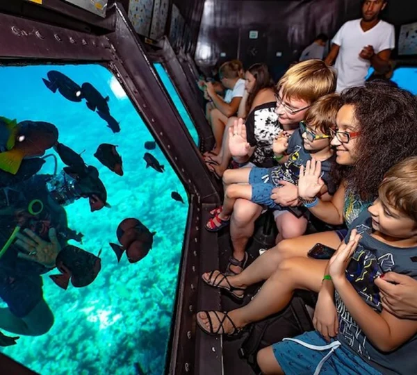 SeaScope Marsa Alam - Royal Sea Scope