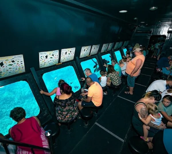 SeaScope Marsa Alam - Royal Sea Scope