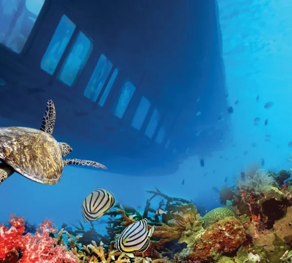 SeaScope Marsa Alam - Royal Sea Scope