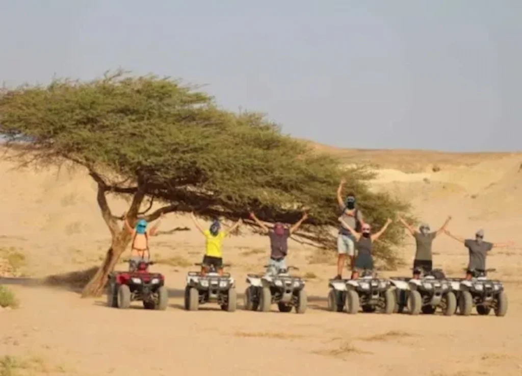 Super Safari Marsa Alam - Jeep+Camel ride+Dinner+Show