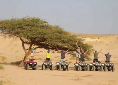 Super Safari Marsa Alam - Jeep+Camel ride+Dinner+Show