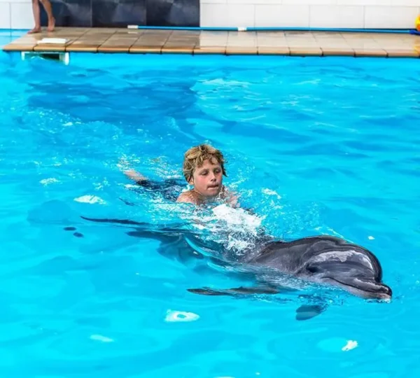 Young girl during a Dolphin swim Hurghada session