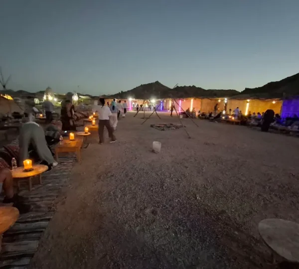 camel riding sharm el sheikh