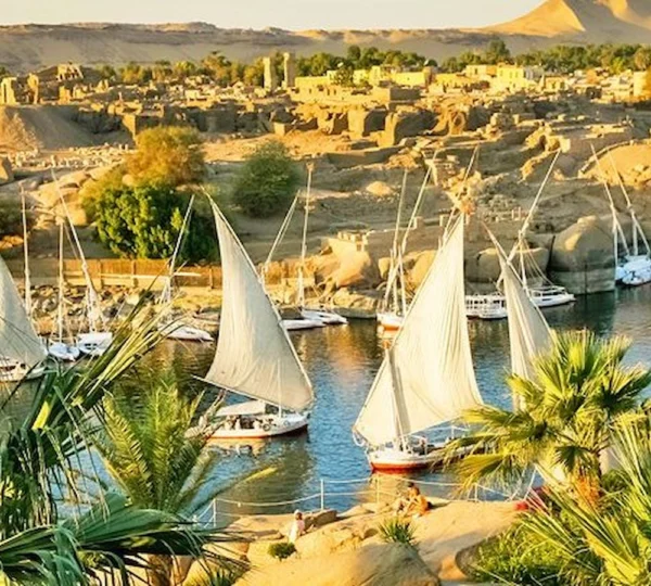 Aswan Day Tour