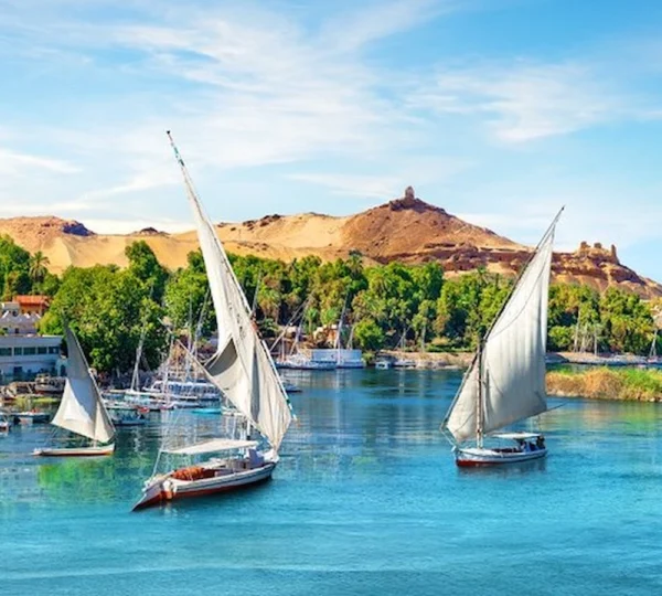 Aswan Day Tour