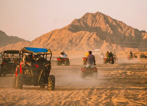 Desert Safari Excursions