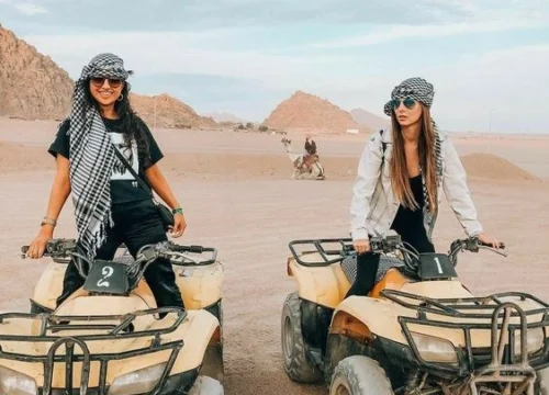 Desert Safari Excursions