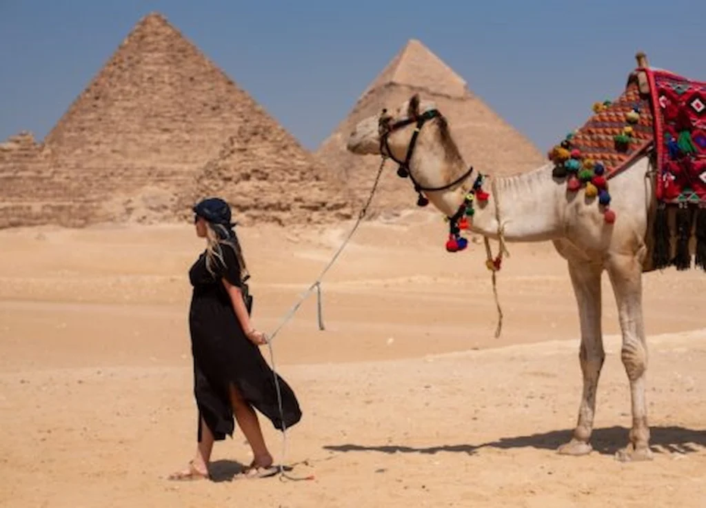 Half Day Giza Pyramid Tour