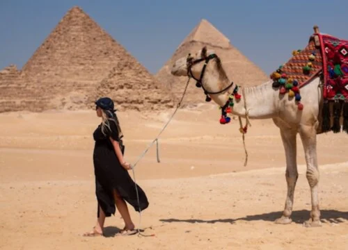 Half Day Giza Pyramid Tour