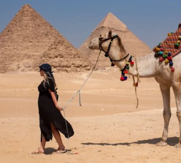 Half Day Giza Pyramid Tour