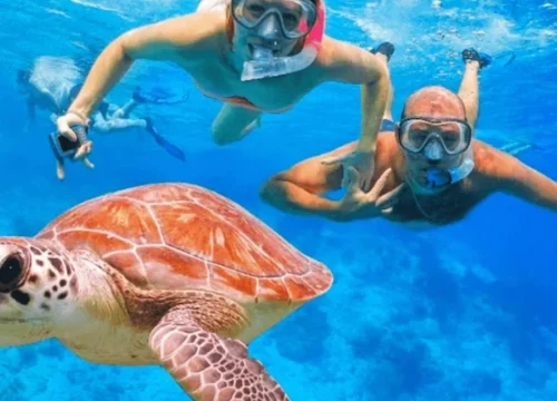 Sea Trips & Snorkeling