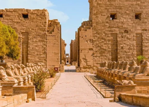 Tour Aswan to Luxor - Private Tour with Train & Guide