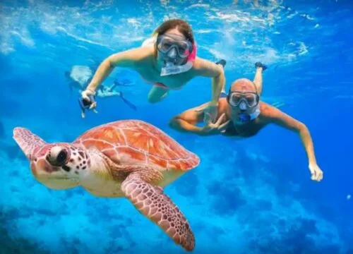 Abu Dabbab Marsa Alam Ägypten Schnorcheln mit Schildkröten