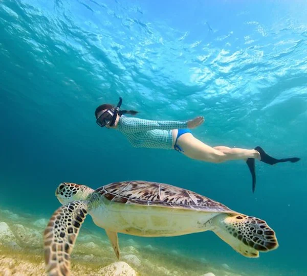 Abu Dabbab Marsa Alam Ägypten (2)