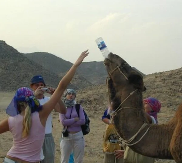 Mini Safari Hurghada