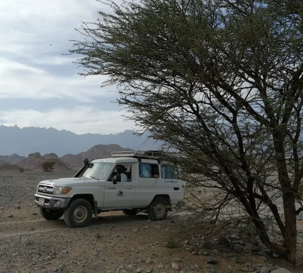 Mini Safari Hurghada