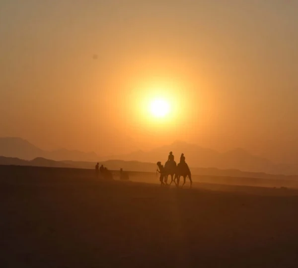 Quad Tour Makadi Bay