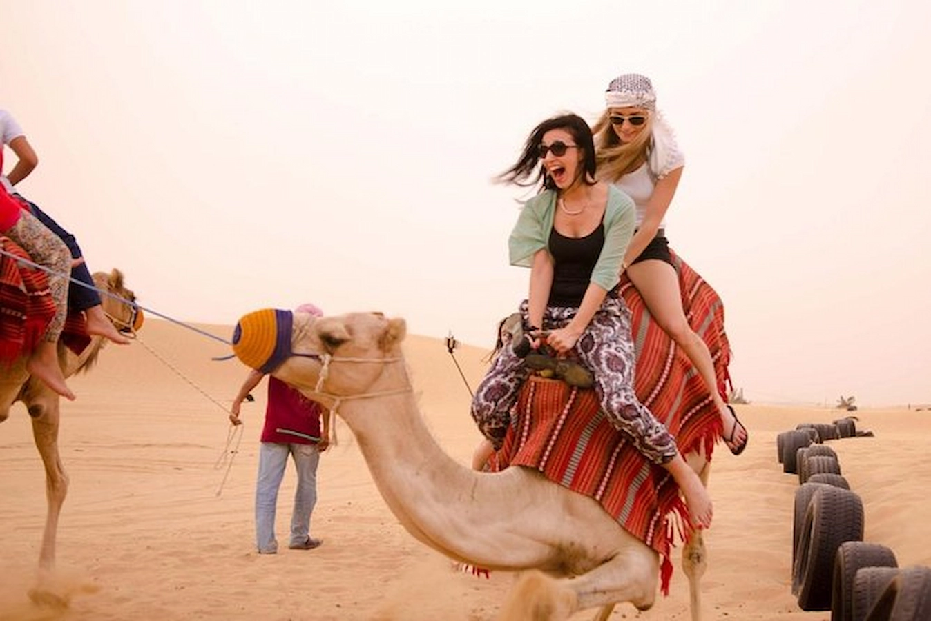 Camel ride Hurghada price 1