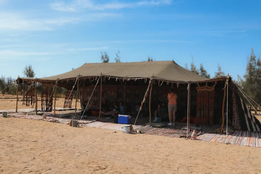 Camel ride Hurghada price 4