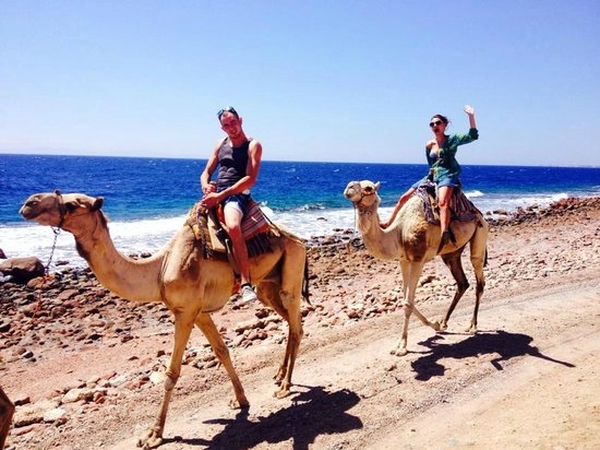 Camel ride