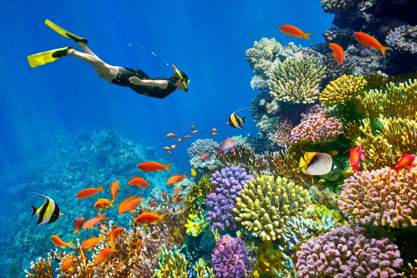 Diving Hurghada price 1