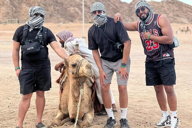 Camel Ride Sharm