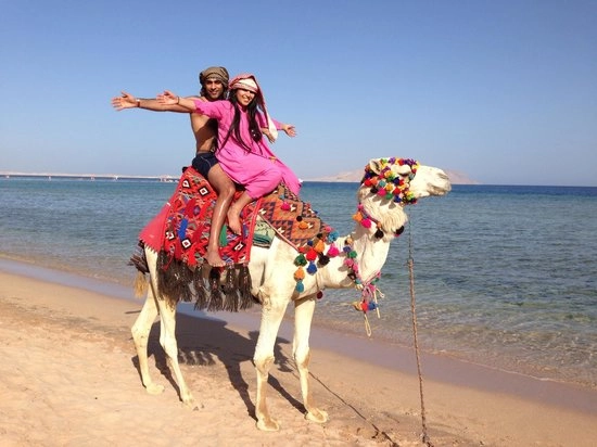 camel riding sharm el sheikh cost 2