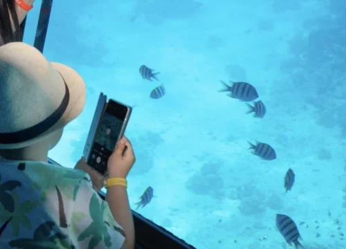 Royal Seascope Hurghada Price – submarine Hurghada prices Guide 2026