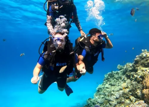 Best Place to Snorkel in Hurghada – Snorkel in Hurghada 2026 Guide