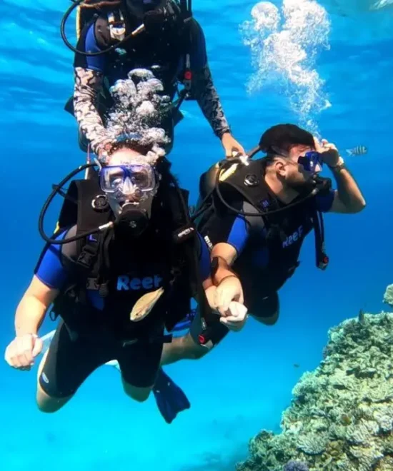 Best Place to Snorkel in Hurghada – Snorkel in Hurghada 2026 Guide