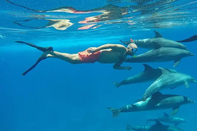 Dolphin House Hurghada Price 4