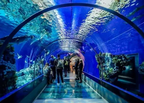 Hurghada Grand Aquarium Ticket Price – Complete Guide Aquarium Hurghada