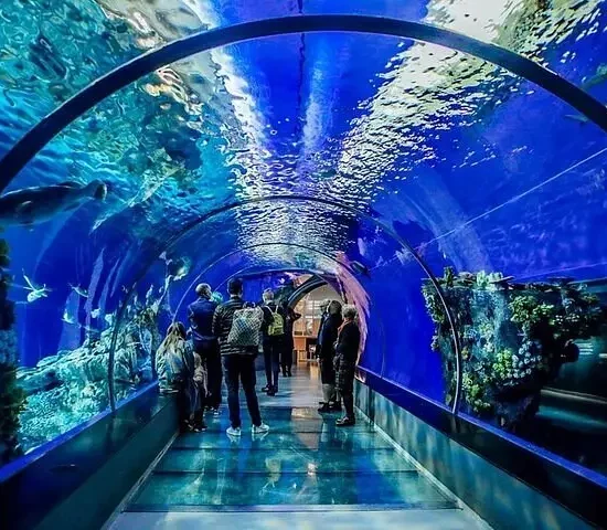 Hurghada Grand Aquarium Ticket Price – Complete Guide Aquarium Hurghada