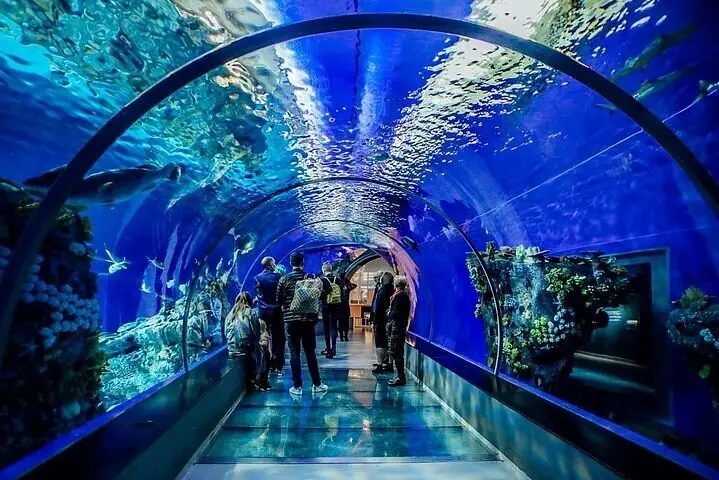 Hurghada Grand Aquarium Ticket Price 1