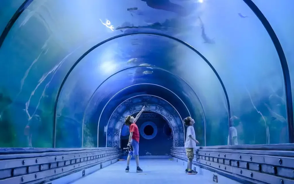 Hurghada Grand Aquarium Ticket Price 3