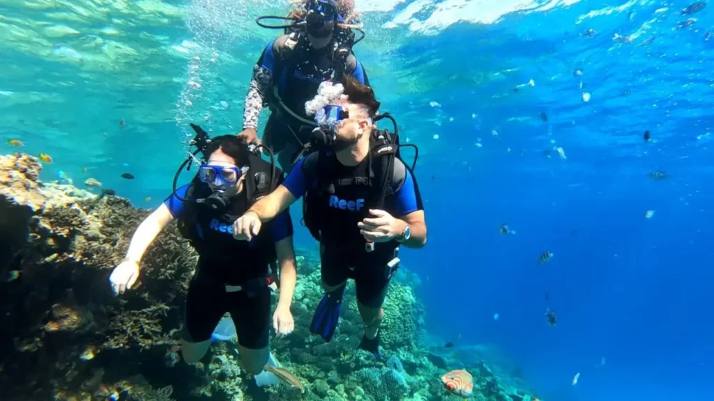 best snorkeling in Hurghada 5