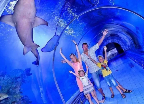 Grand Aquarium Hurghada: Skip-the-Line Entry & Shark Tunnel Experience