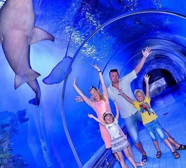 Grand Aquarium Hurghada: Skip-the-Line Entry & Shark Tunnel Experience